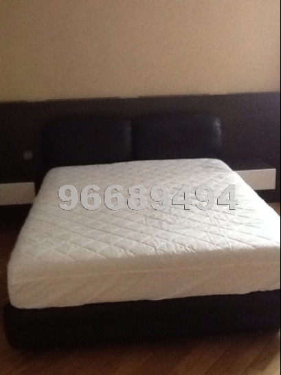 Adam Park Condominium (D11), Condominium #877572